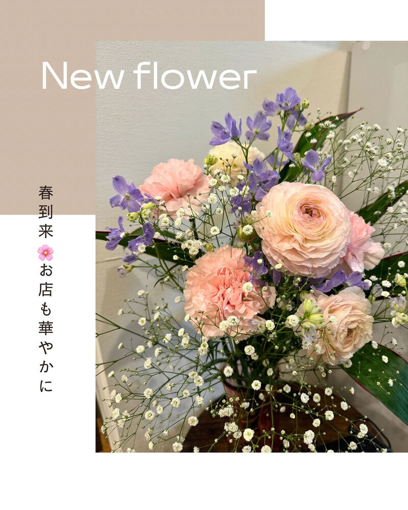 ブログ