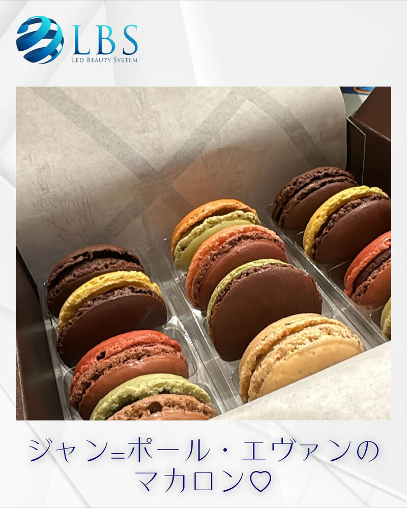 ブログ