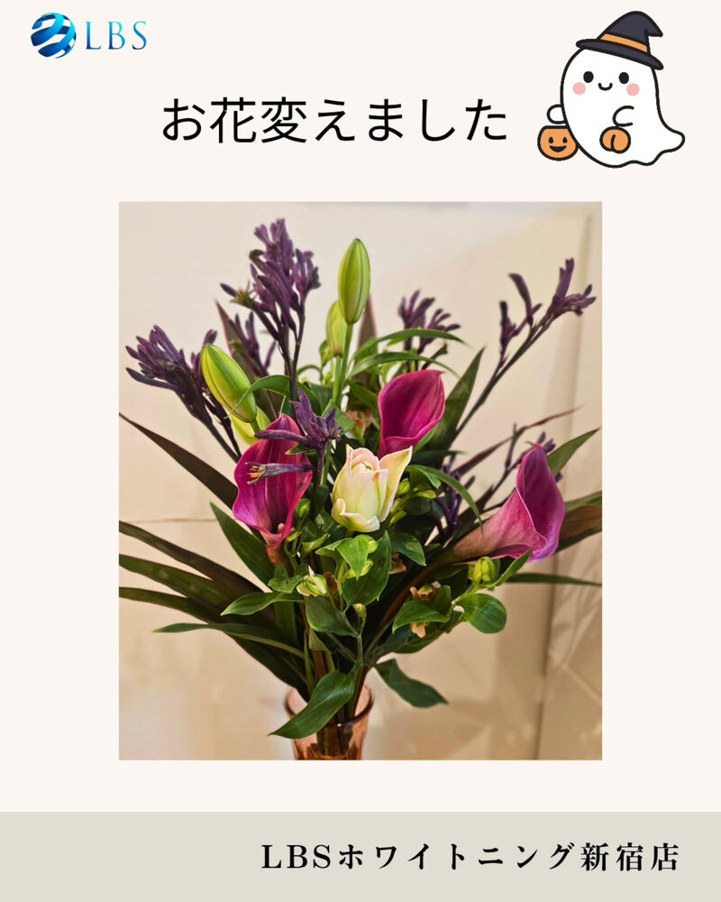 ブログ