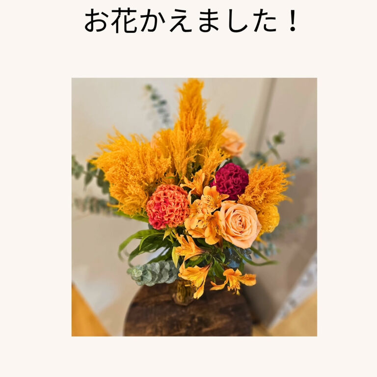 ブログ