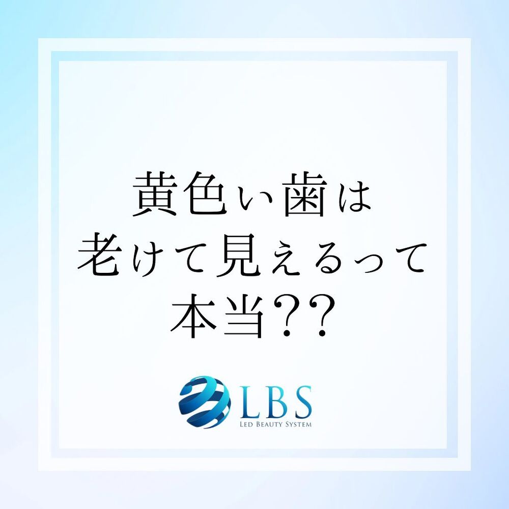 ブログ