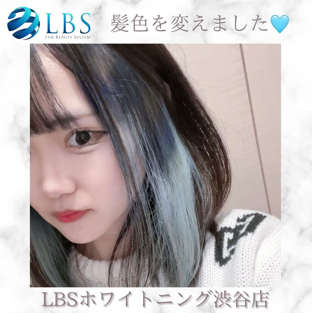 ブログ