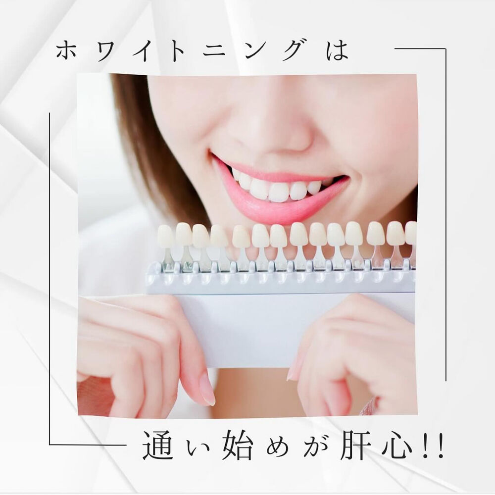 ブログ